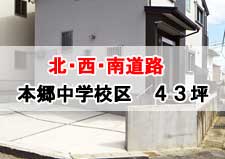 南・北・西道路,豊橋市本郷中学校区,43坪